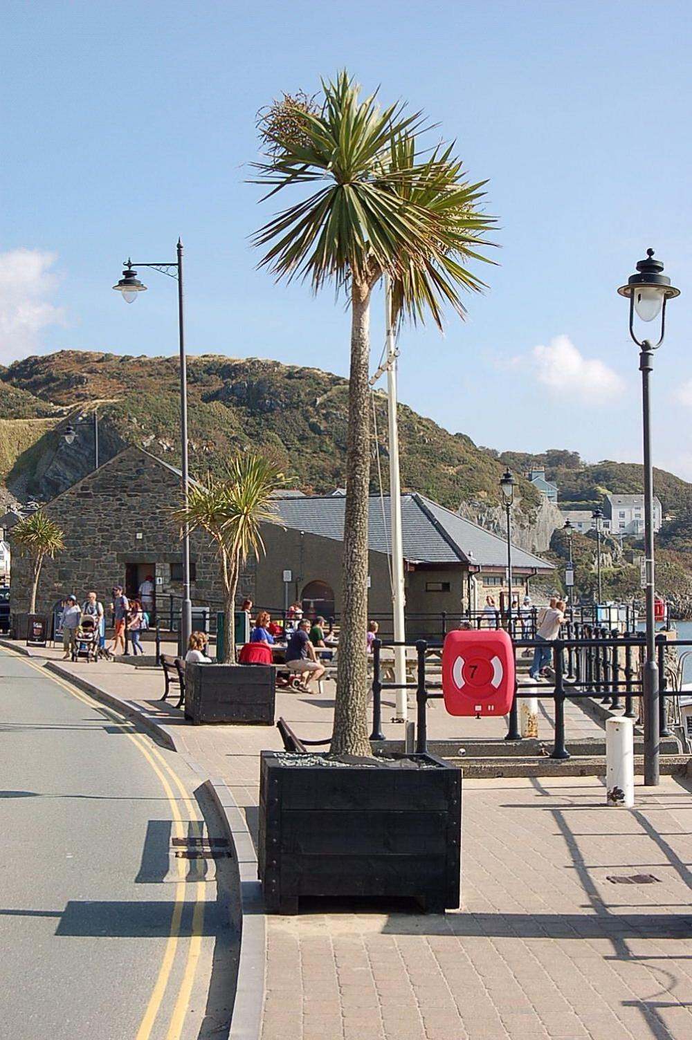 Beach Vista Apartment One In Barmouth Buitenkant foto